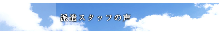 派遣スタッフの声